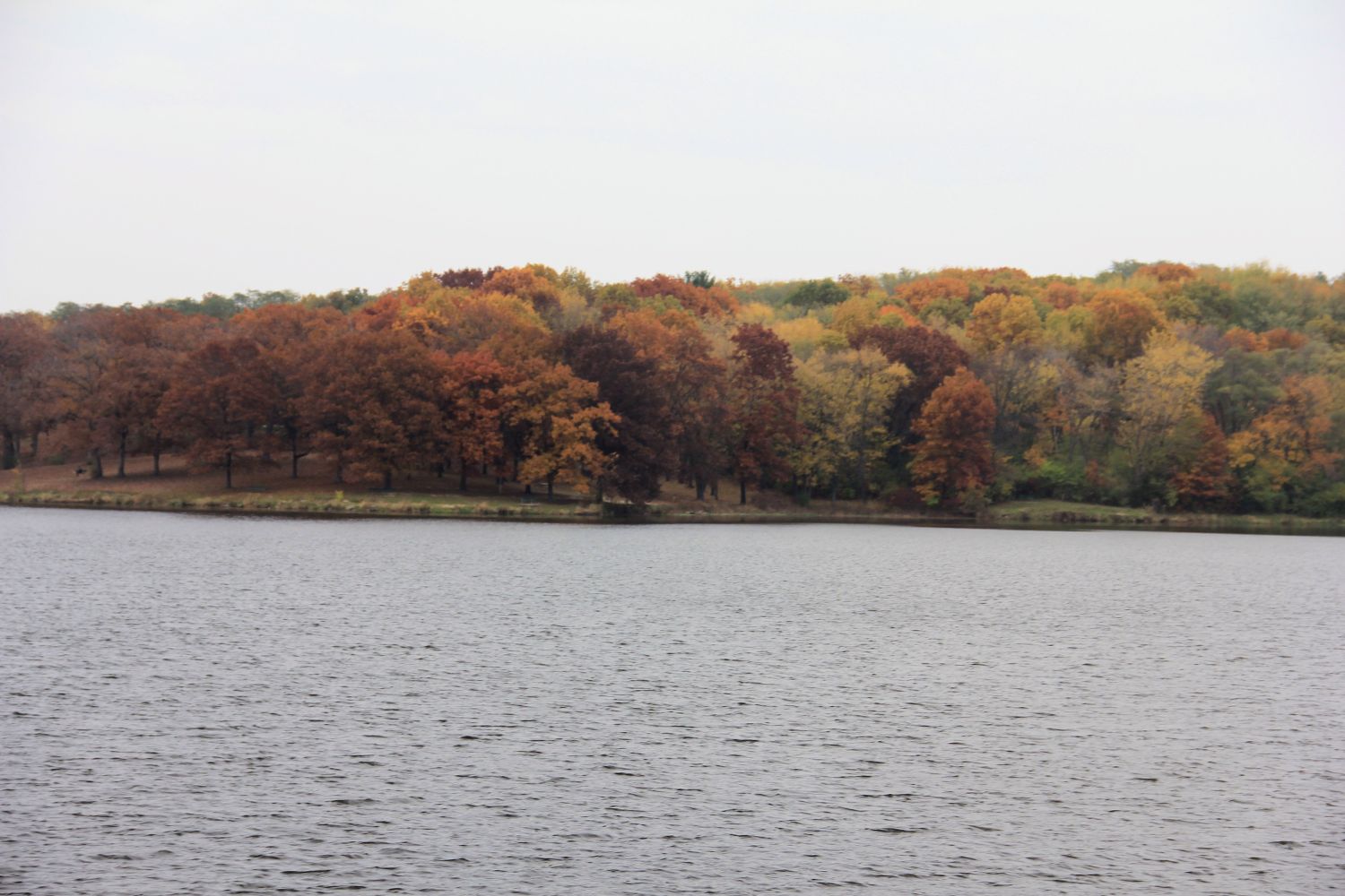 Rock Cut State Park 